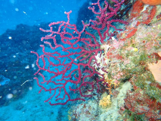 foto 30.05.19 21 41 17